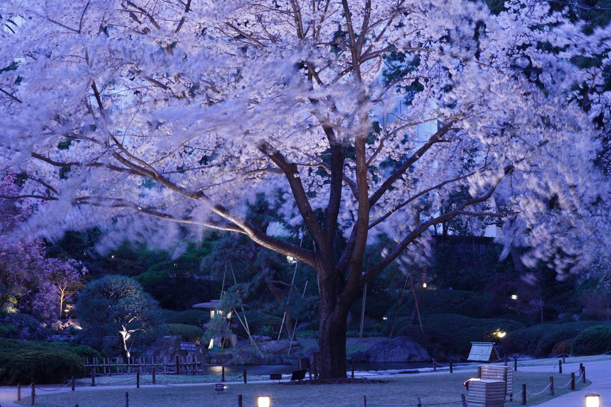 The Prince Sakura Tower Tokyo, Autograph Collection Екстериор снимка